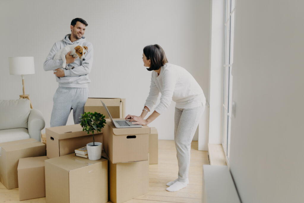 Busy woman tries to find information in laptop computer, buys furniture online, man stands with dog on hands, smiles and talks to wife, surrounded with pile of cardboard boxes have to unpack property