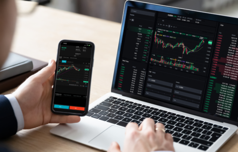 person looking at stock prices