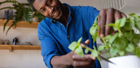 Smiling man in a blue shirt trimming fresh herbs in a kitchen with vegetables on the counter.