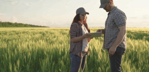 Two farmers stand in a green field reviewing information on a tablet during daylight.